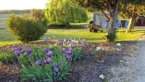 Un jardin agrémenté de fleurs violettes, un chemin de gravier et un petit abri de jardin en arrière-plan.