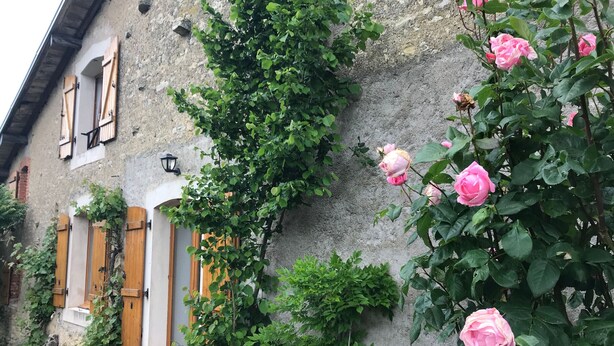 Um edifício rústico de pedra com persianas de madeira, um banco de pedra e rosas cor-de-rosa em flor.