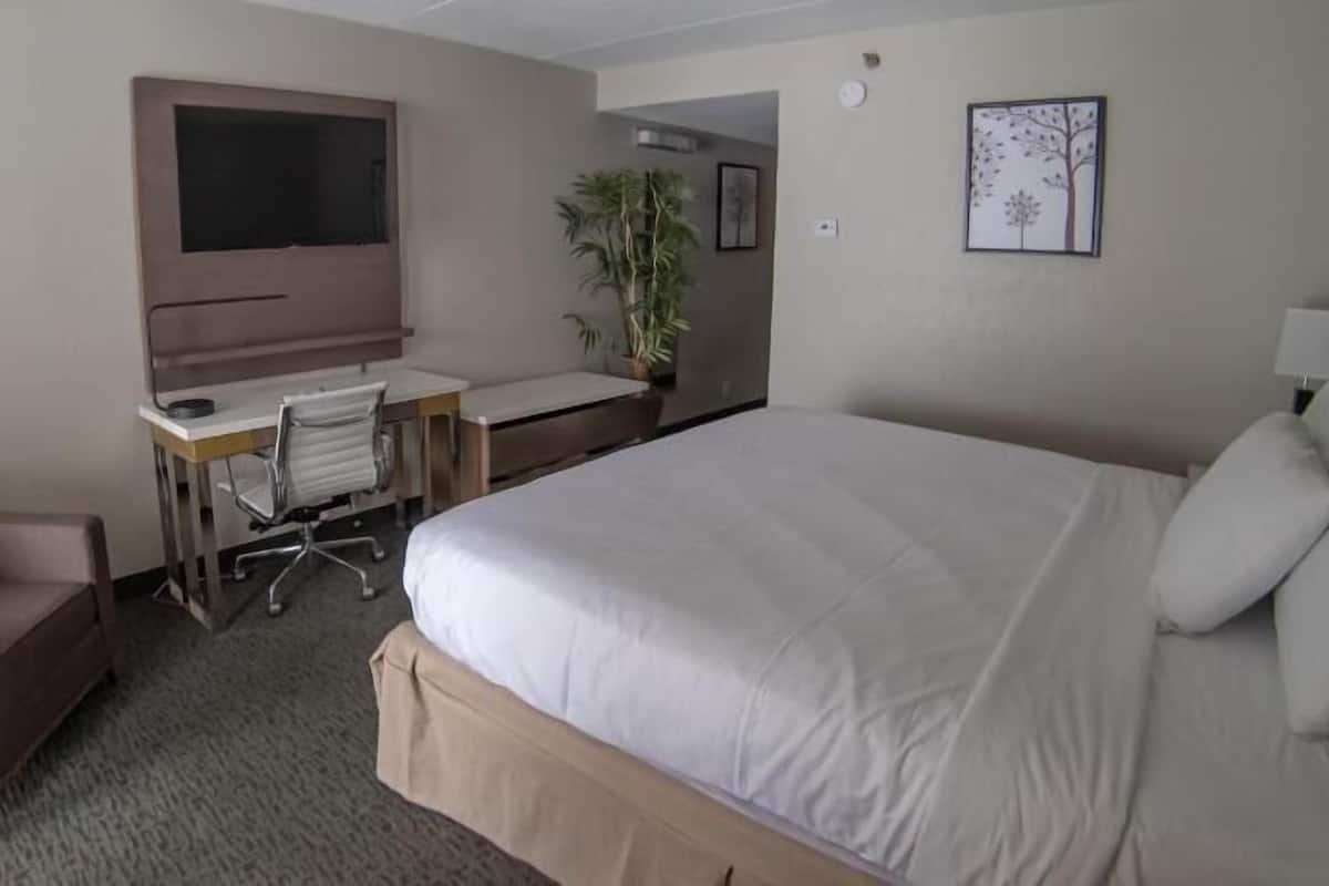 Hotelkamer met een bed, bureau, stoel, televisie, plant en een kunstwerk aan de muur.