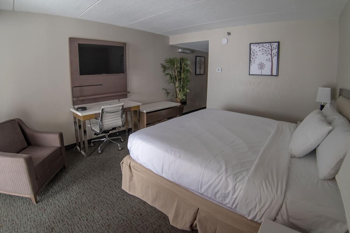 Een hotelkamer met een bed, een bureau, een stoel, een televisie en een plant.