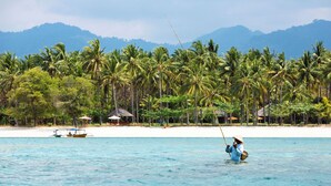 Ein Strand mit Palmen, einem Boot und einer Person beim Angeln.