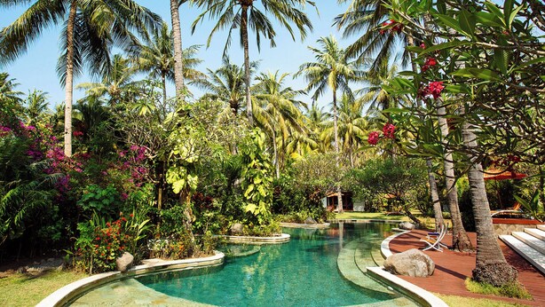 Ein tropisches Resort mit klarem Pool, Palmen und üppiger Vegetation.