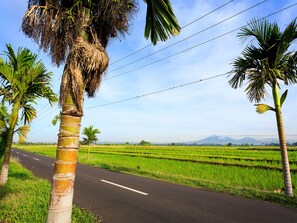 إطلالة الغرفة