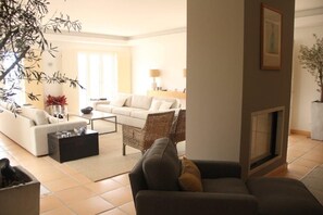 TV, fireplace, DVD player, books