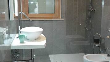 Shower, hair dryer, bidet, towels