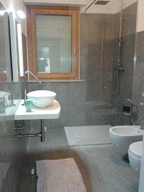 Shower, hair dryer, bidet, towels