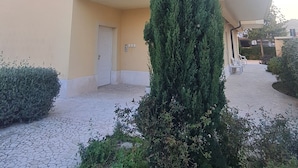 Un edificio de varios pisos con un patio central, un alto pino y una puerta en la parte inferior.