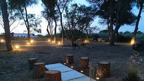 An outdoor area with wooden stumps and potted plants, surrounded by trees and illuminated by string lights.