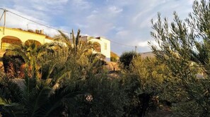 Stunning residential area with lush greenery and a beautiful building.