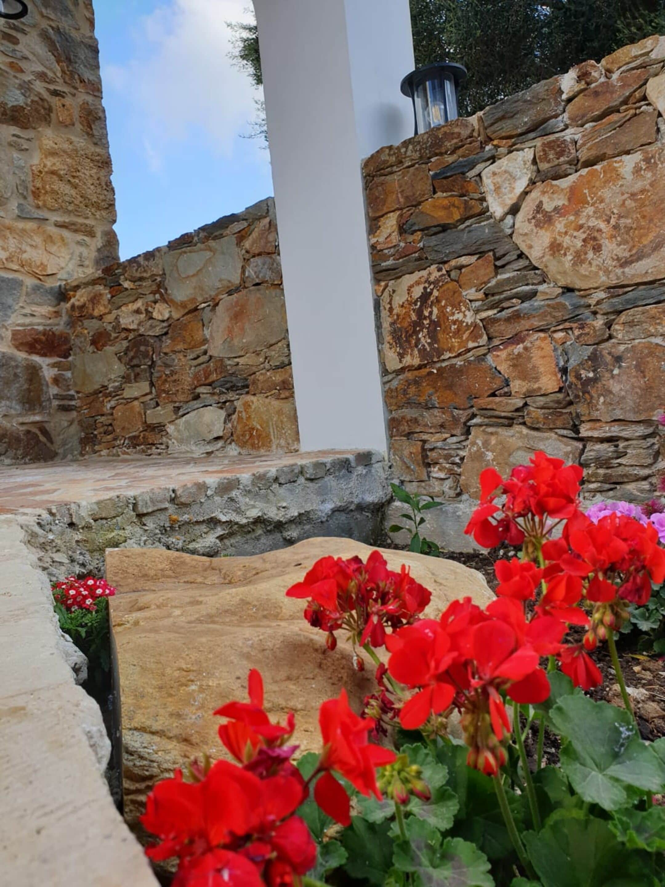 A stone wall with a stone bench and red flowers in the foreground.