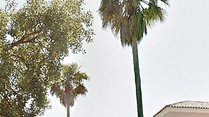 施設の敷地