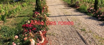 Allée  des roses L’atelier
