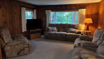 Smart TV, chimenea y libros
