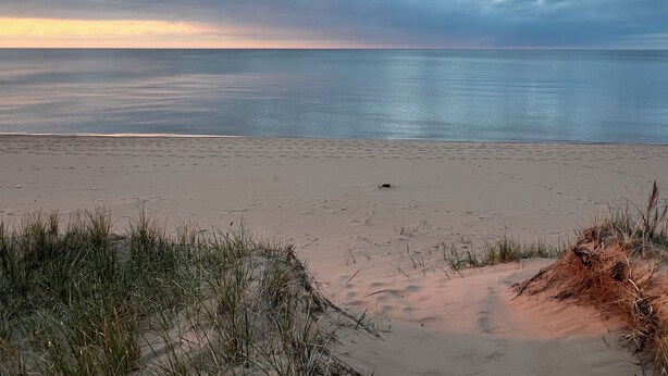 A beach with sand dunes and sparse vegetation.