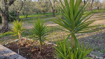 Parco della struttura