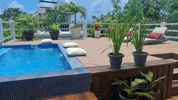 Zona de piscina en la azotea con hidromasaje, terraza de madera, plantas en macetas y vistas a edificios y árboles.