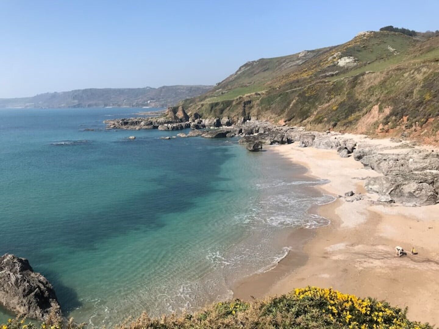 Little Well, Slapton (2 acres, dogs welcome).