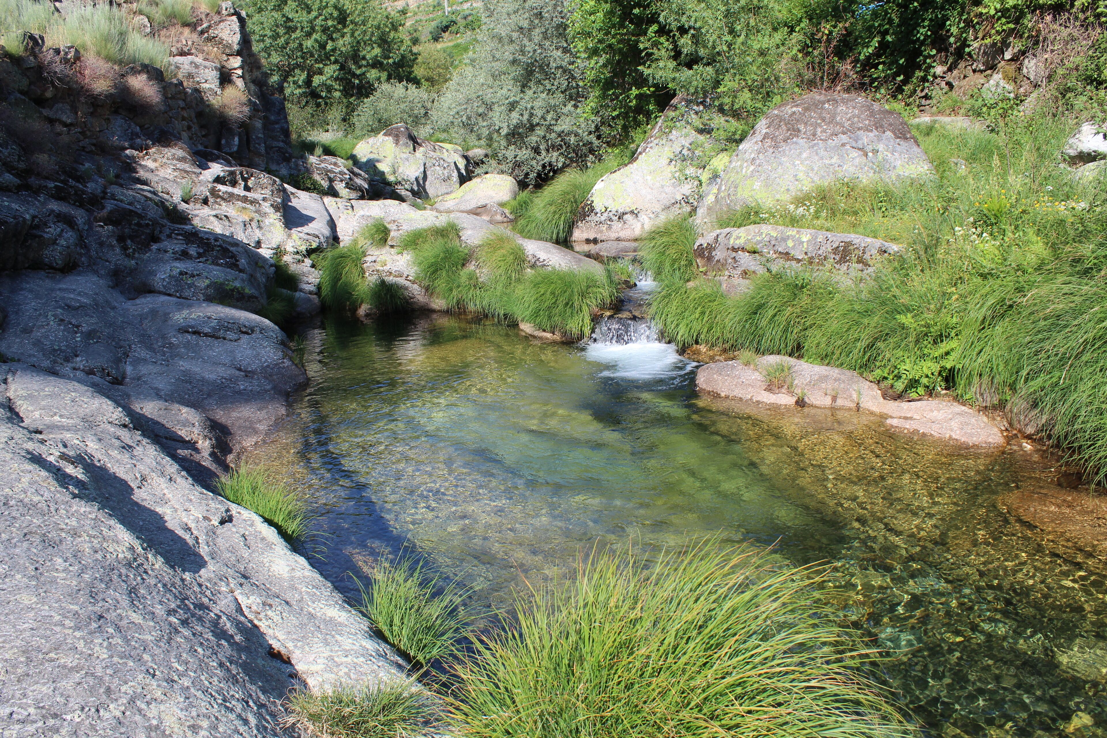 Un cadre naturel en plein air, avec un ruisseau aux eaux claires, des rochers et une végétation luxuriante.