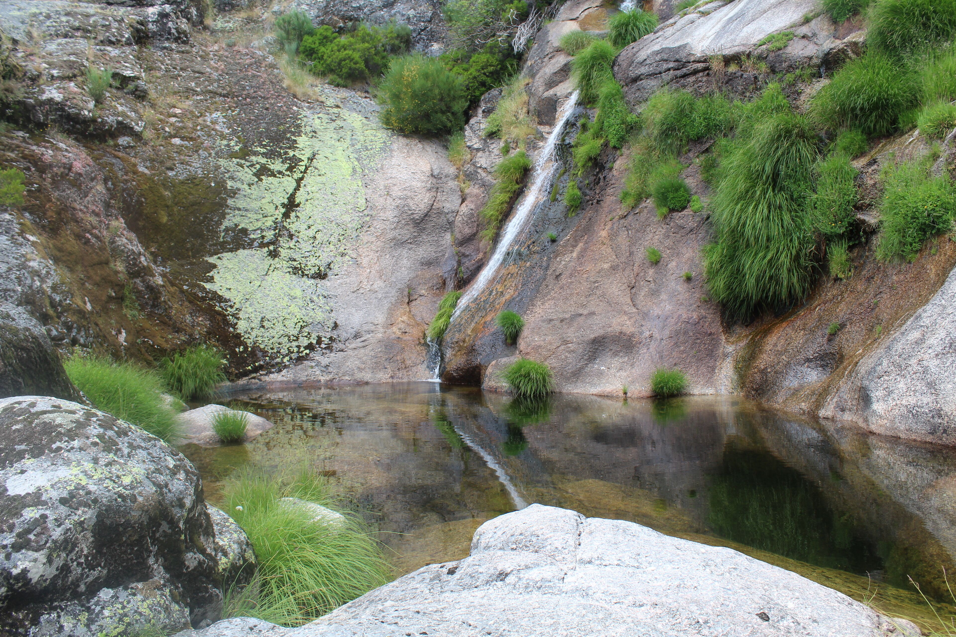 Een natuurlijk landschap met een waterval, een vijver en omliggend groen.