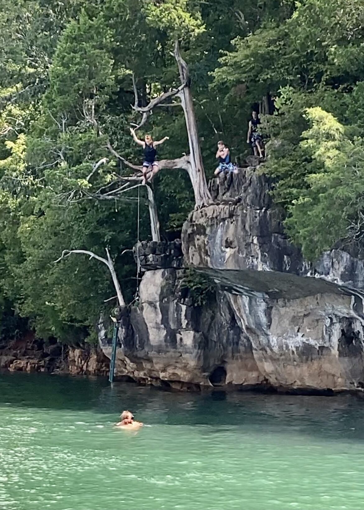 Ein felsiger Klippenhang mit einem Baum, eine Person klettert, und eine andere Person schwimmt im Wasser darunter.