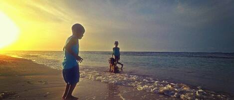 Strand