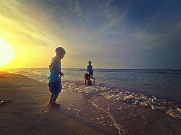 Beach