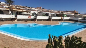 A swimming pool with a clear blue water, surrounded by a tiled deck and a cactus plant in the foreground.