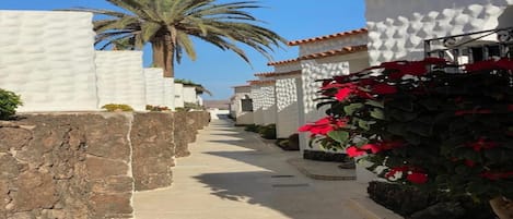 Un estrecho sendero pavimentado bordeado por edificios blancos con techos de tejas rojas, que conduce a una palmera.