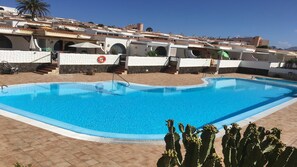 A swimming pool with a clear blue water, surrounded by a tiled deck and a cactus plant in the foreground.