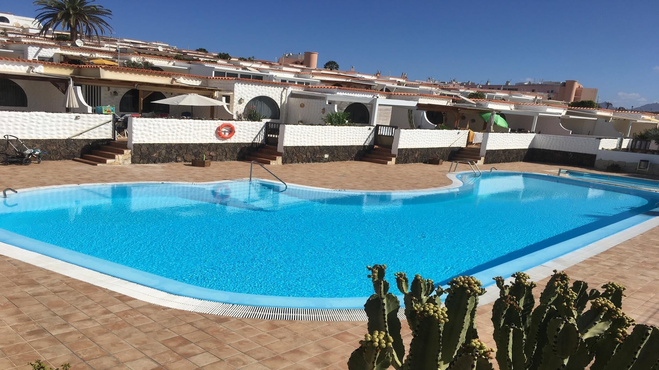 A swimming pool with a clear blue water, surrounded by a tiled deck and a cactus plant in the foreground.