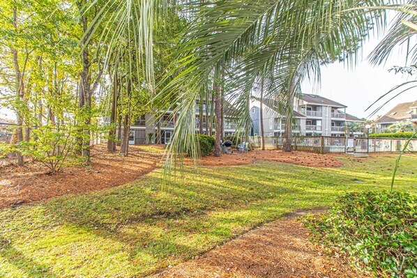 A residential area with a multi-story building, a grassy lawn, and a palm tree.