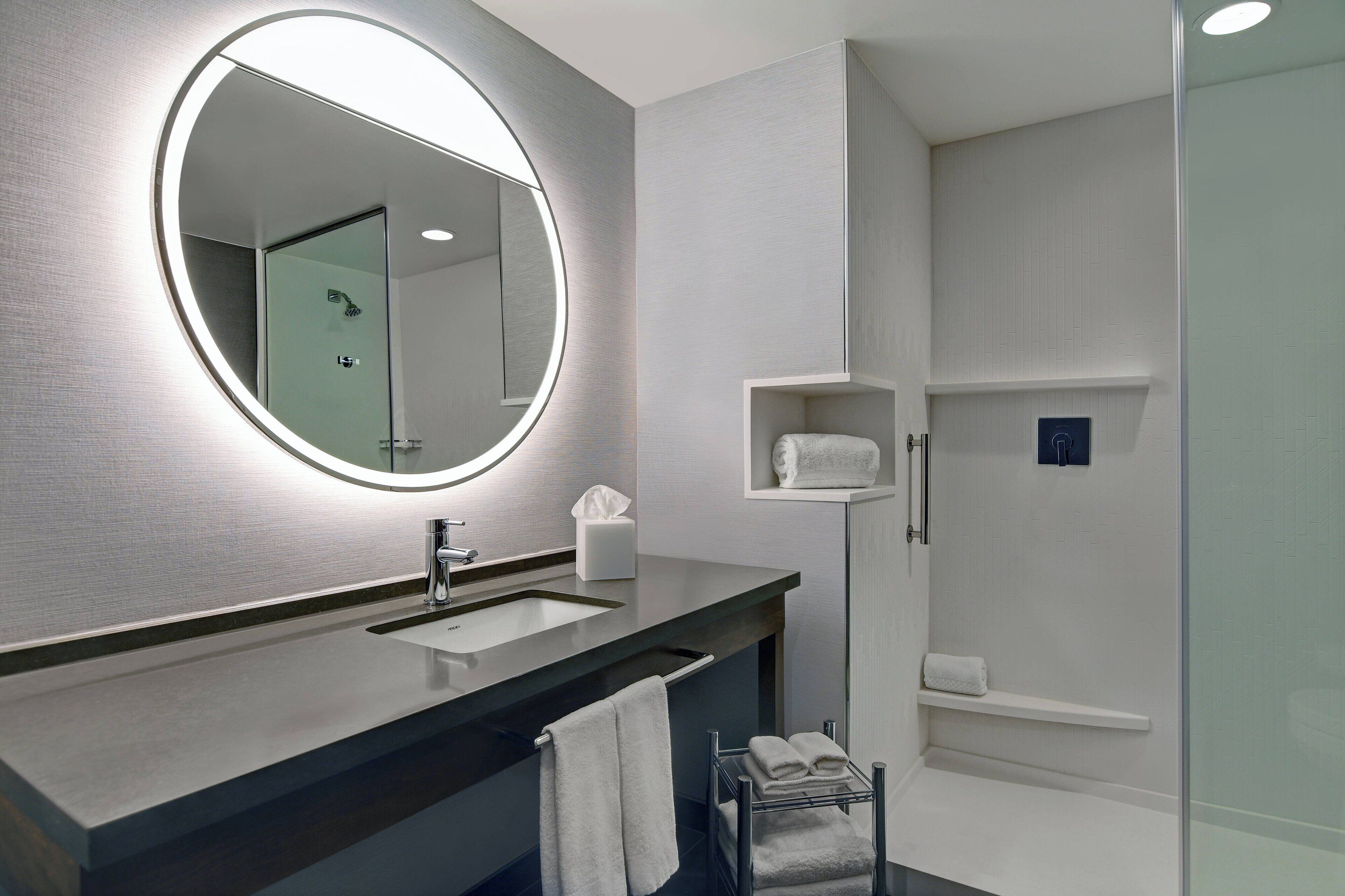 hair dryer, soap, shampoo, toilet paper