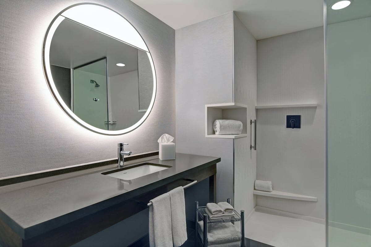 hair dryer, soap, shampoo, toilet paper