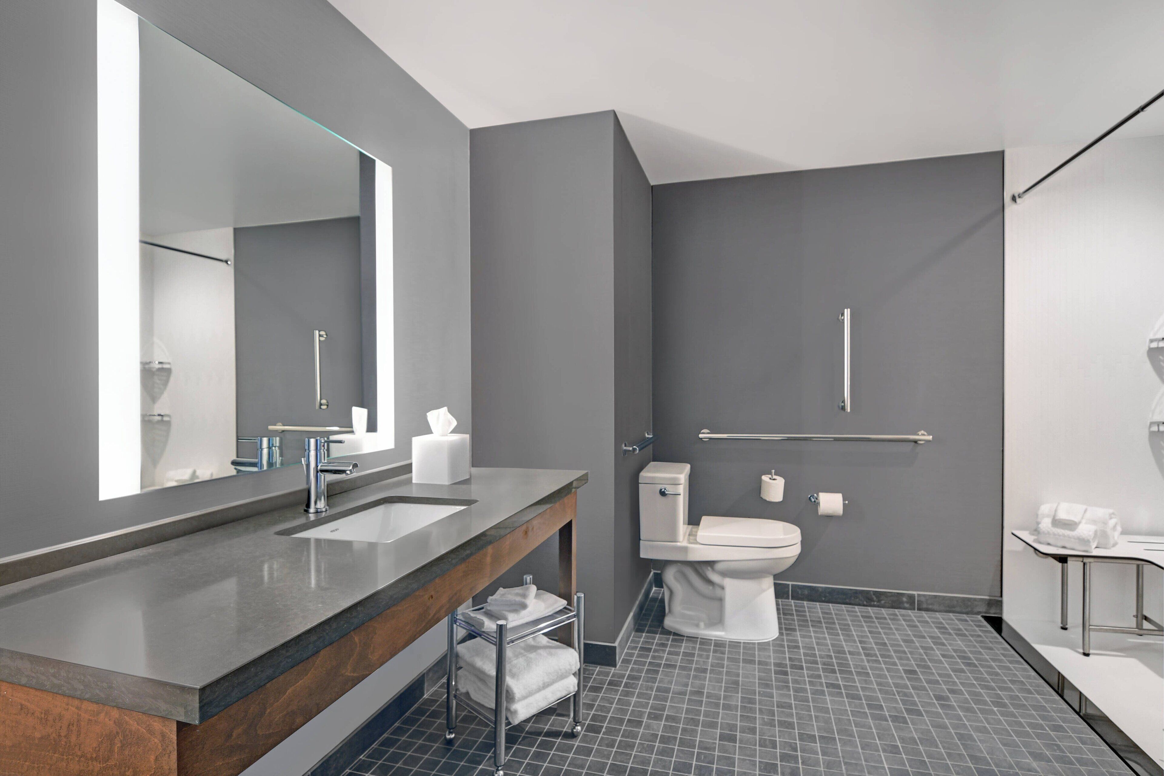 hair dryer, soap, shampoo, toilet paper