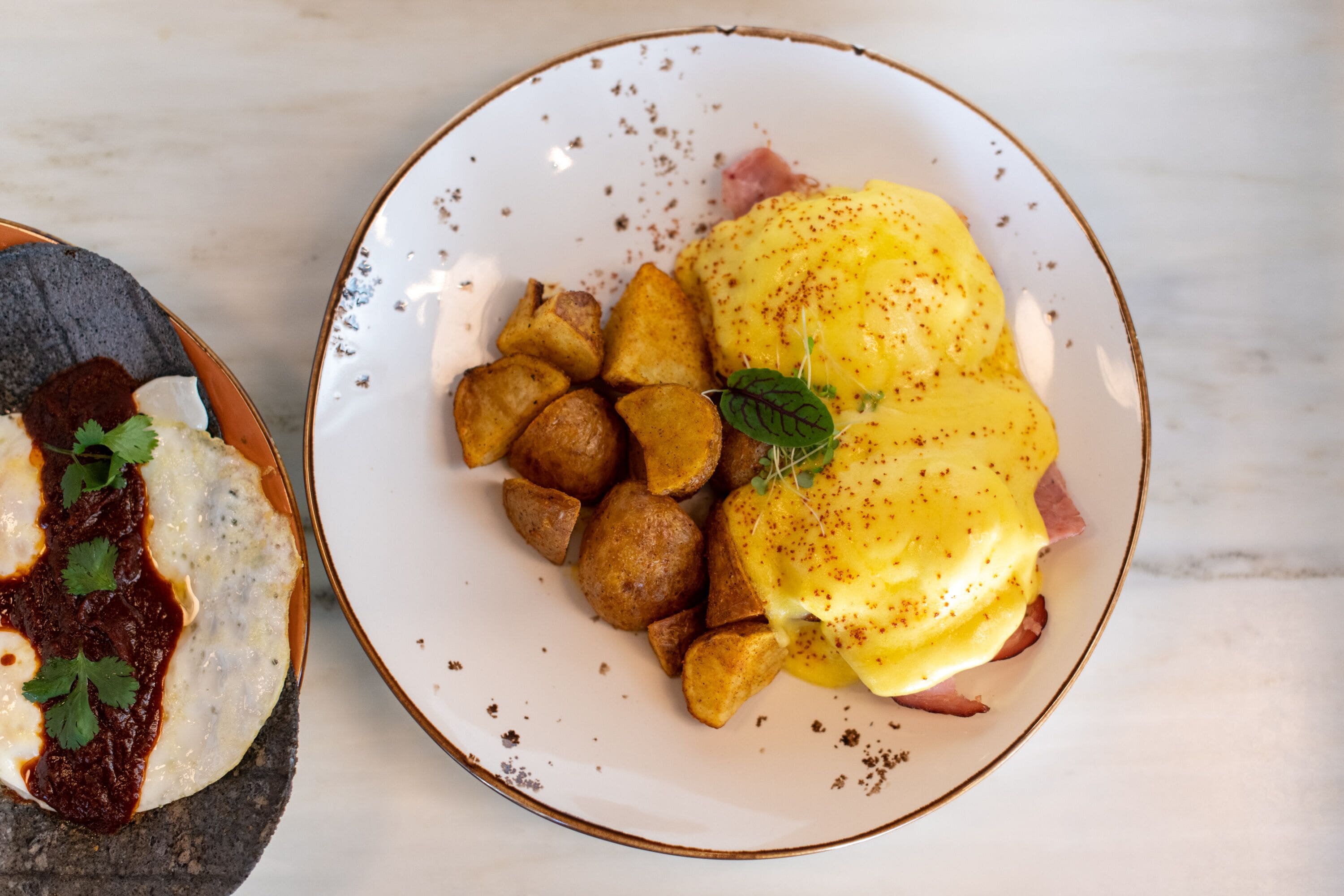 A plate with eggs benedict, hash browns, and a side of salsa.