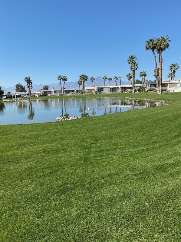 Guest accommodations blend seamlessly into the serene surroundings, surrounded by a tranquil pond and lush palm trees.