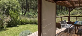 Chalet Atypique au Cœur de la Forêt de Pin