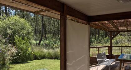 Chalet Atypique au Cœur de la Forêt de Pin