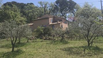 Ărea da propriedade