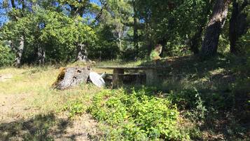 Ărea da propriedade