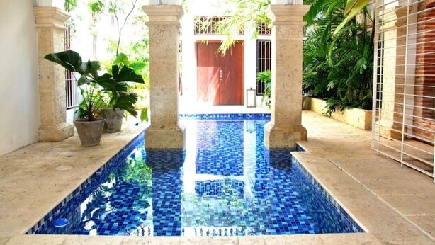 Zona de piscina con suelo de baldosas, plantas en macetas y una puerta de madera al fondo.