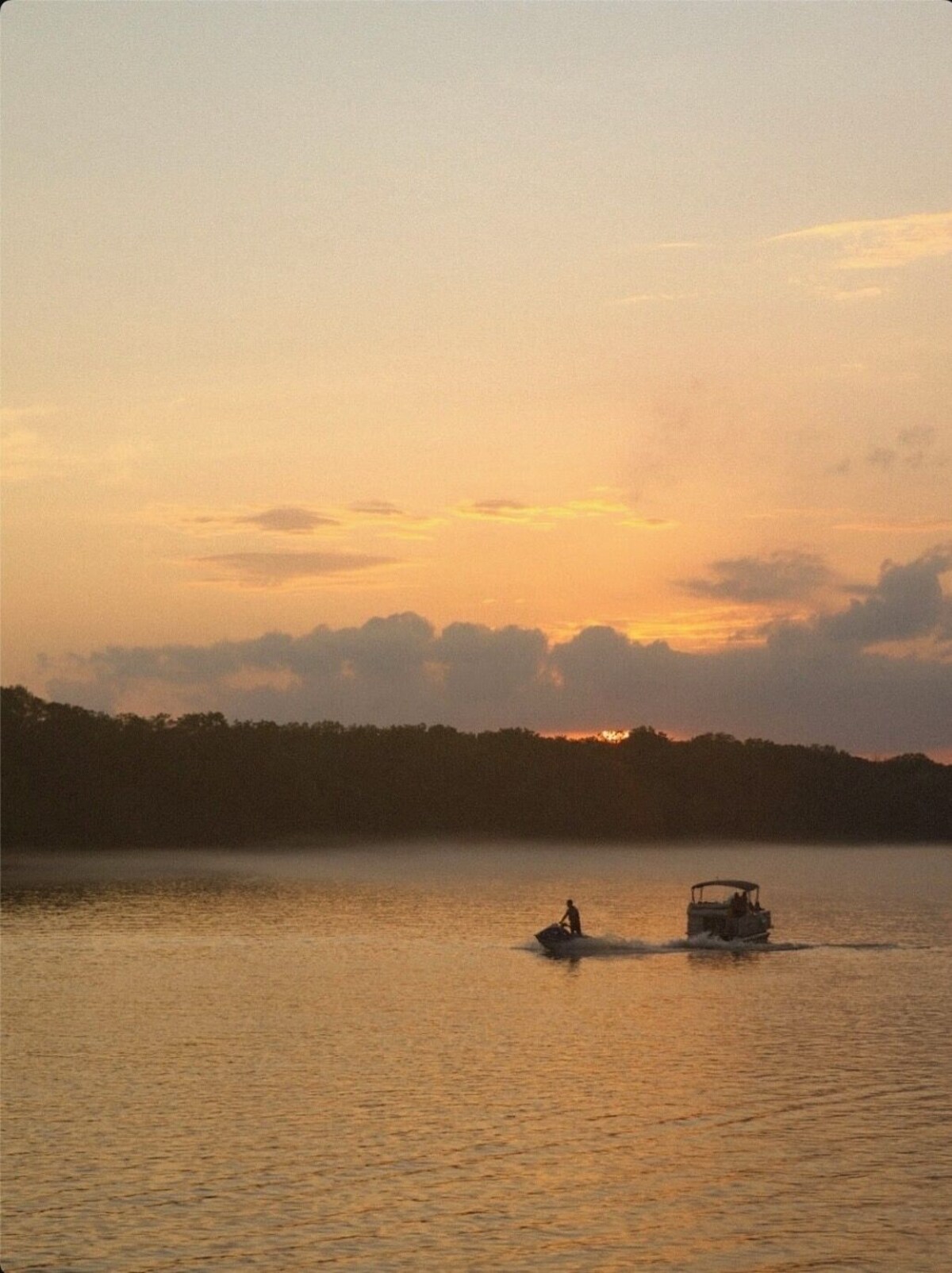 Imagen de perfil del propietario o de la propietaria