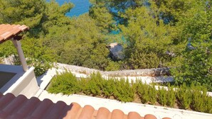 Vista de una zona costera con árboles y un mar azul y despejado.