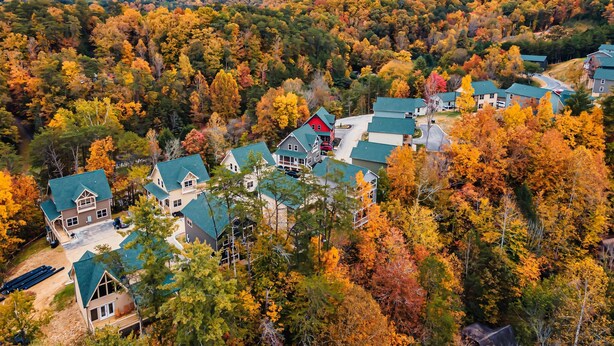 Un quartier résidentiel où les maisons sont dotées de toits végétalisés, le tout étant entouré d’un feuillage automnal dense.