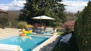 Ein Schwimmbecken mit Liegestühlen und ein großer Baum im Hintergrund.