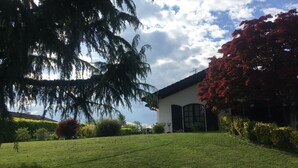 Ein gepflegter Rasen, ein modernes Gebäude mit großen Fenstern und verschiedene Bäume, darunter ein Baum mit roten Blättern.