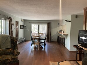 Smart TV, fireplace, books