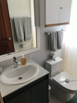 Dusche, Haartrockner, Handtücher, Seife