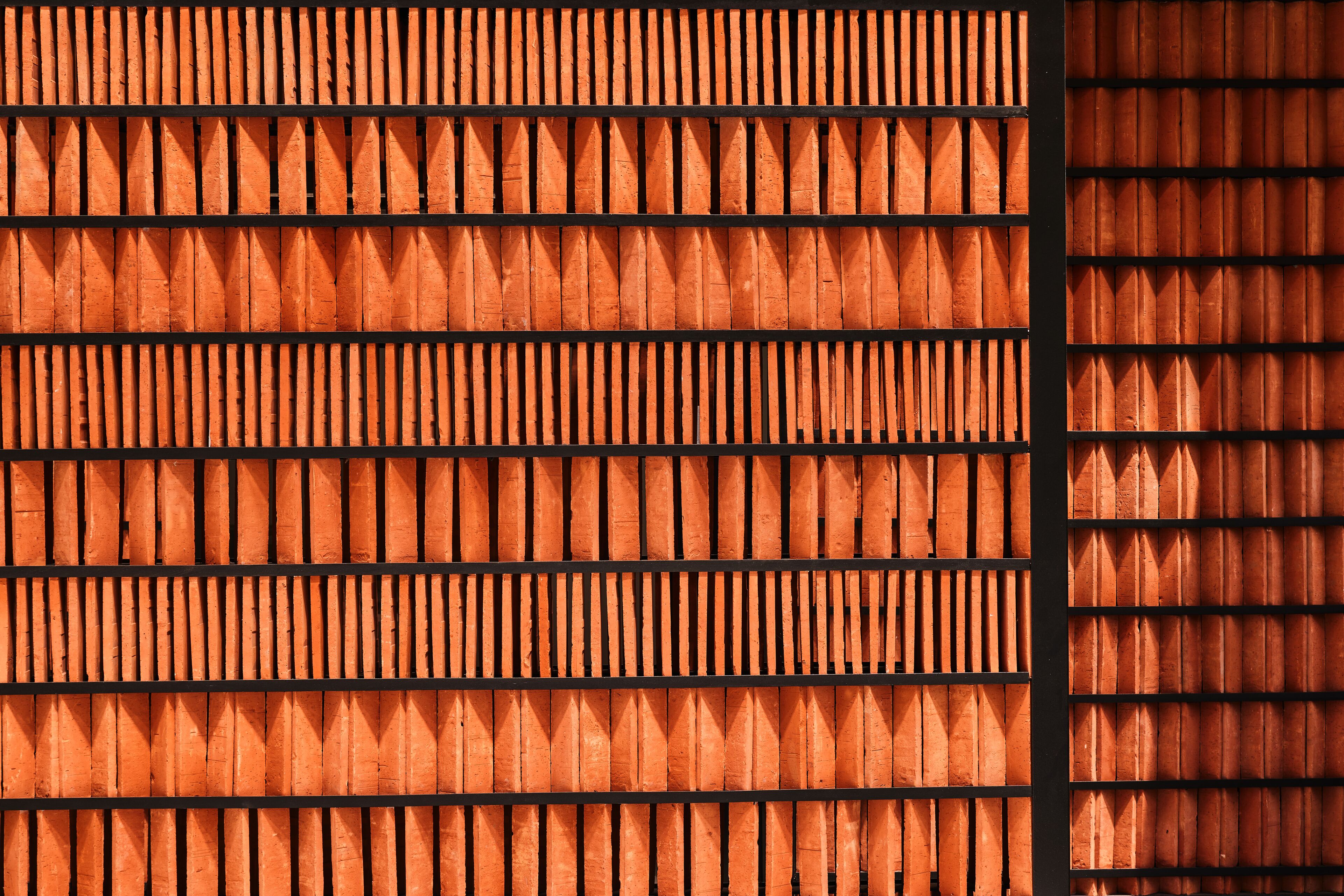 Photo - Campos Polanco