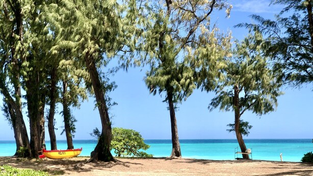 Una playa con un bote amarillo identificado con 